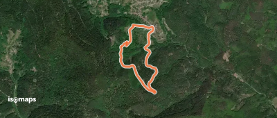 Circuit Eulental
