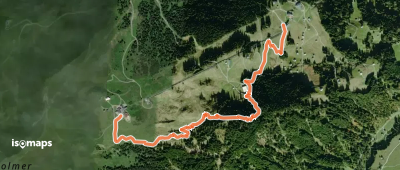 Golmi's Forschungspfad