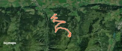 Grünalm (Forstweg)
