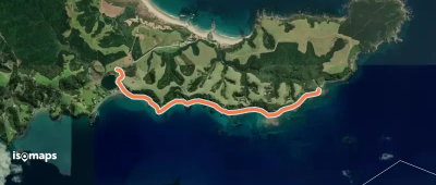 Māori Bay Coast Walk