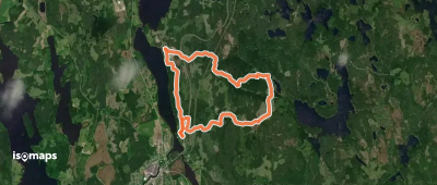 Lårhöjdsleden