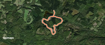 Svartesjö