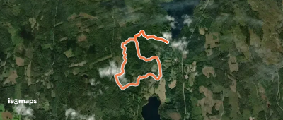 Pinoleden