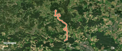 Gelbpunkt