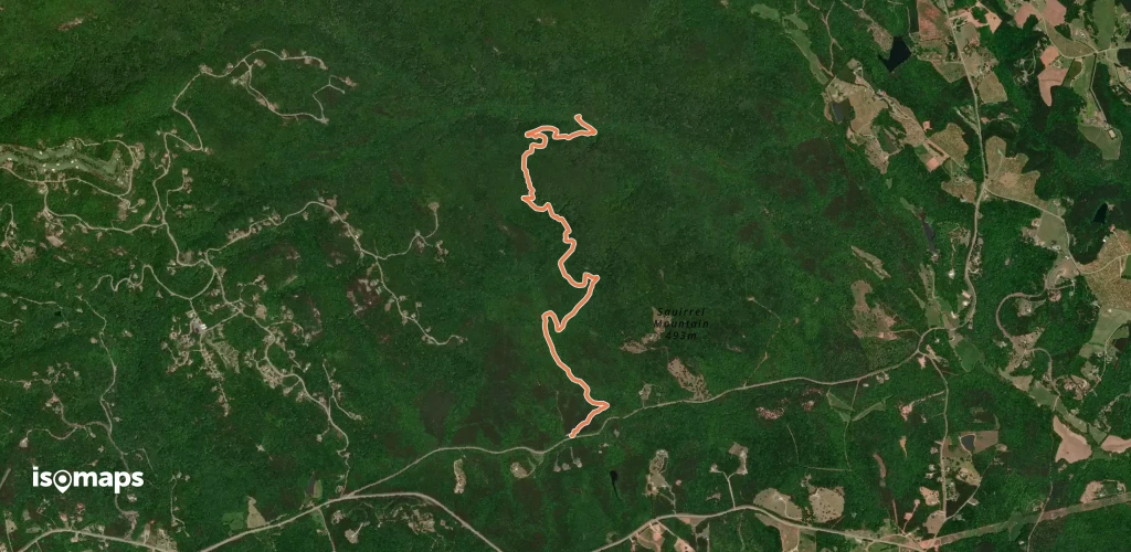Chestnut Ridge Trail
