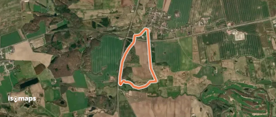 Gul Rute