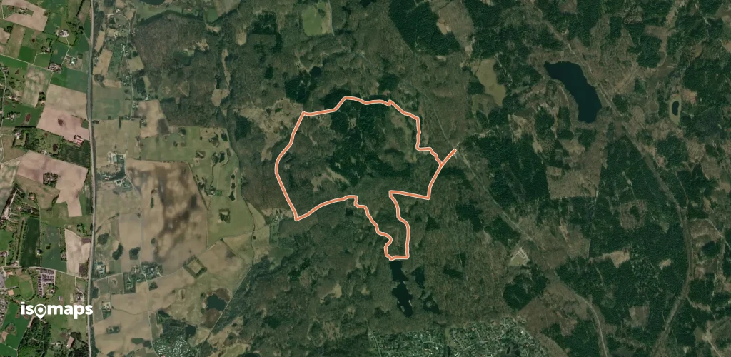 Røde Dam
