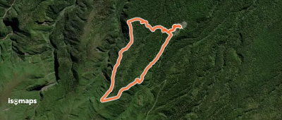 Veronica Loop Track