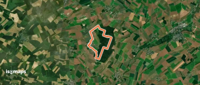 La Forêt de Marle