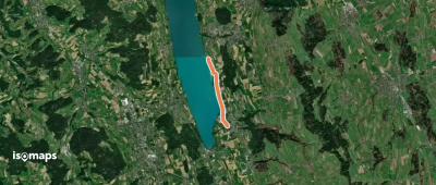Seerose - Aesch