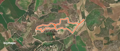לולאת תל גזר