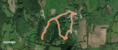Histoire parallèle des deux sapins
