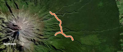 Curtis Falls Track