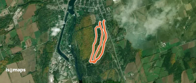 Mapletree Loop