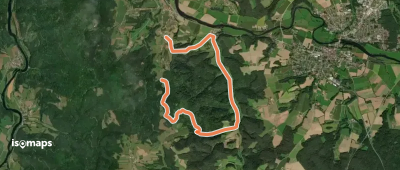 Wilder Mann 011, Naturpark Vorderer Bayerischer Wald