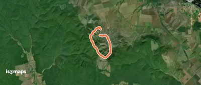 Tematic Niculițel