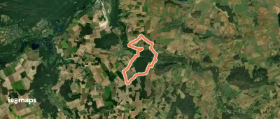 Maquis de Roys