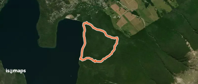 Loop Track
