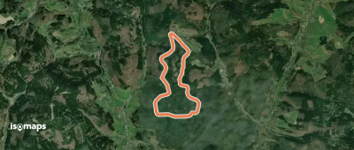 Rundwanderweg Wald-Michelbach Falters Ruhe 6: Geiersberg-Weg
