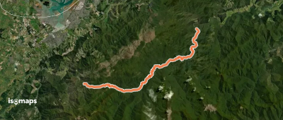 Pelorus Track