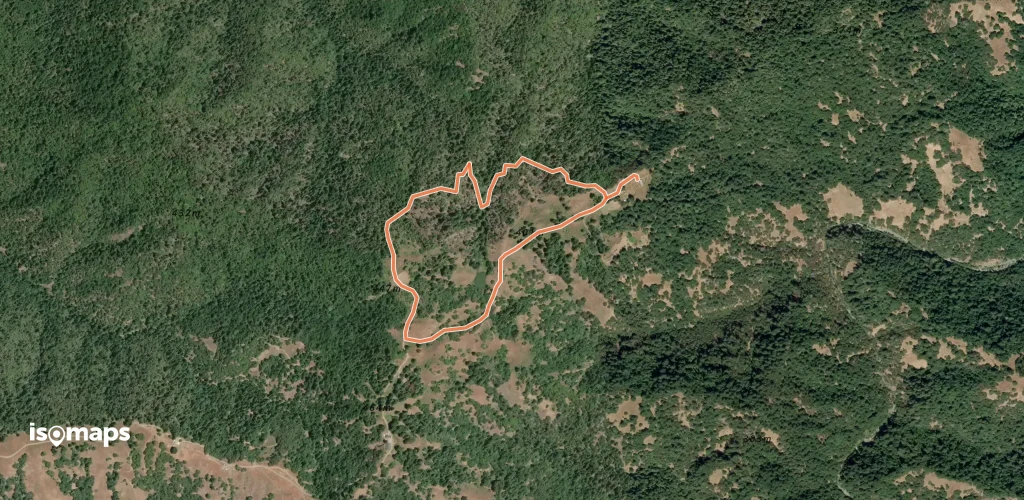 The Lake Loop