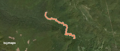 Skyline Trail
