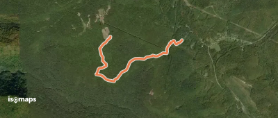 Manns Creek Gorge Trail