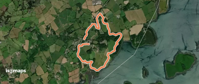 Crazy Trail