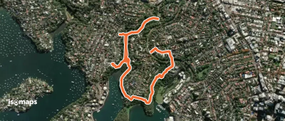 The Gore Cove Track