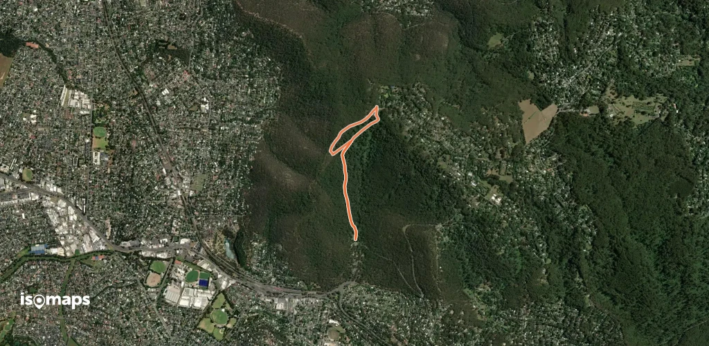 Lyrebird Loop