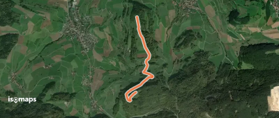 Bürerhorn - Laubberg