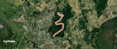Heinriha taka