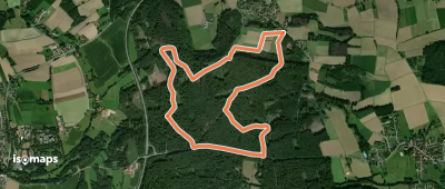 Waldweg
