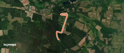 Lynford Stag Wellbeing trail