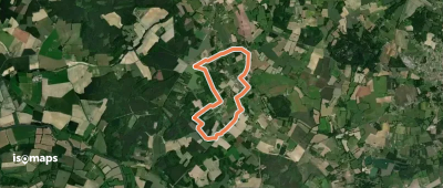 Les vieux châtaigniers