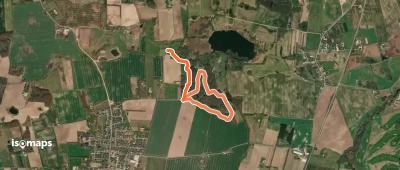 Stenskovruten