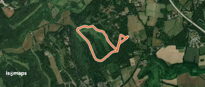 Headley Heath Butterfly Walk, Box Hill