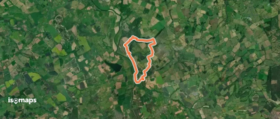 Captain Geoffrey's Woodland Walk, Dudmaston Estate