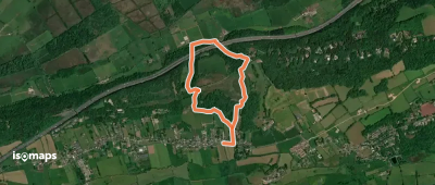 Cadbury Camp hill walk, Cadbury Camp