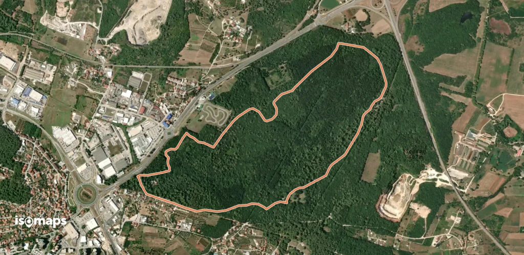 Orhideja