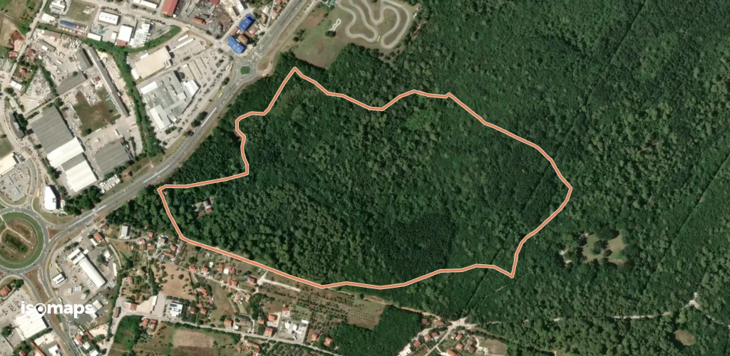 Hrast
