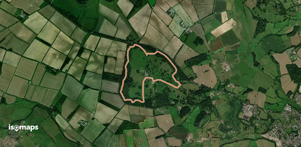 The woodland trail at Kingston Lacy, Kingston Lacy