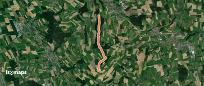 Buholz - Buttenberg