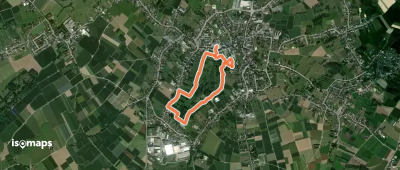 Herkbeemden Gele pijl