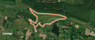 A Climb To The Common at Mottistone