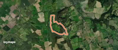 Coombe Hill Woodland Walk, Central Chilterns