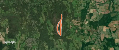 Black Down Temple of the Winds trail, Black Down