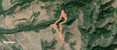 Huyya (Tree) Trail