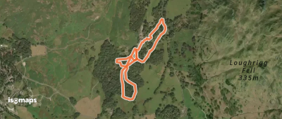 High Close Tree Trail