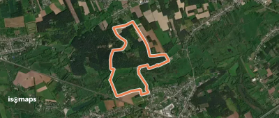 Zelem Oranje bol